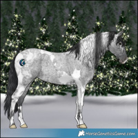 Horse Color:Blue Ice Roan Tobiano 