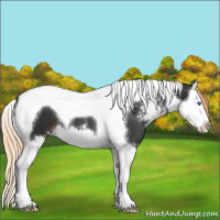 Horse Color:Liver Chestnut Sabino Splash Tobiano 