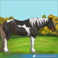 Horse Color:Liver Chestnut Tobiano 