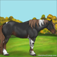 Horse Color:Liver Chestnut Tobiano 