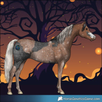 Horse Color:Black  and Painted Silver Black 