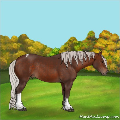 Horse Color:Silver Brown Tobiano Rabicano 
