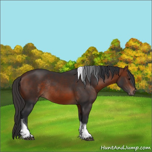 Horse Color:Bay Tobiano Rabicano 