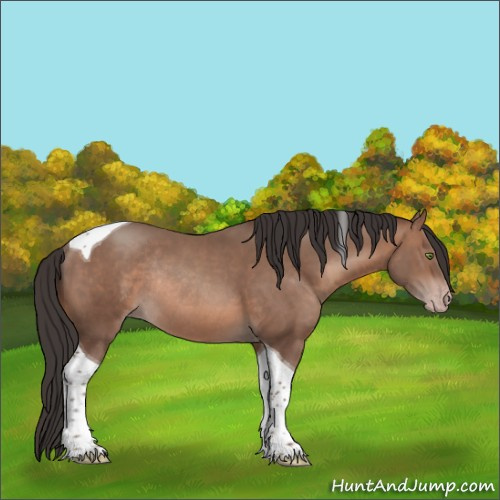 Horse Color:Sable Champagne Tobiano Rabicano 