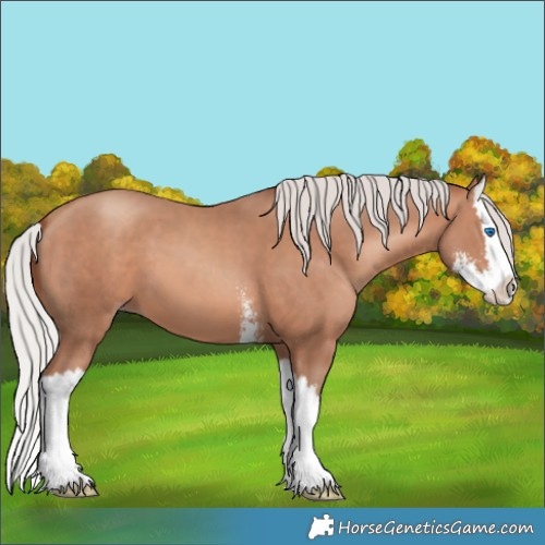 Horse Color:Silver Amber Champagne Sabino Splash 