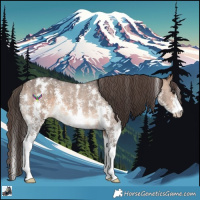 Horse Color:Bay Dun Sabino Varnish 