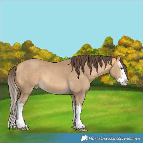 Horse Color:White Spotted Amber Cream Champagne Splash 