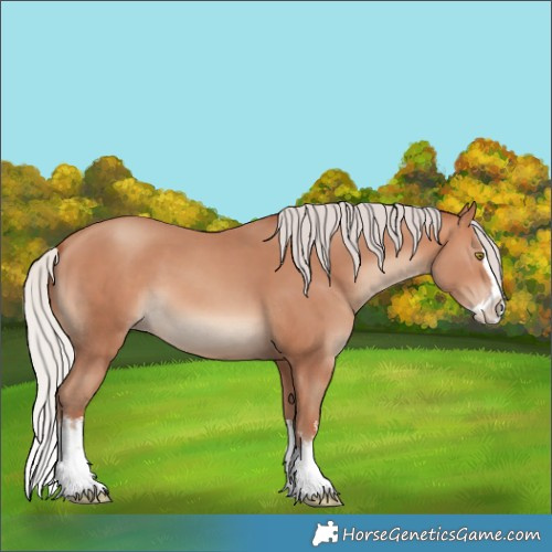 Horse Color:White Spotted Silver Amber Champagne Splash 