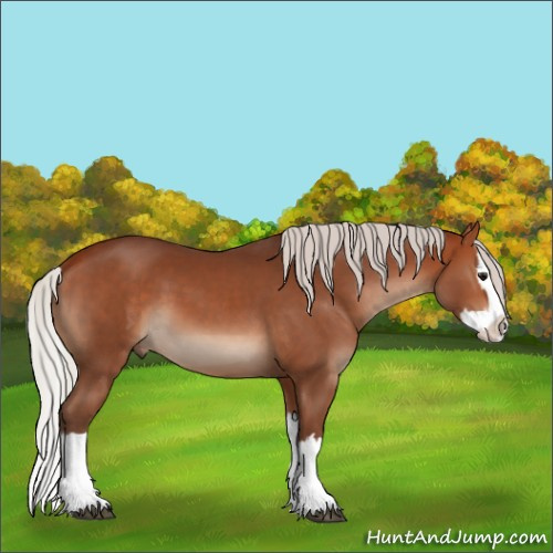 Horse Color:Silver Bay Sabino Splash 