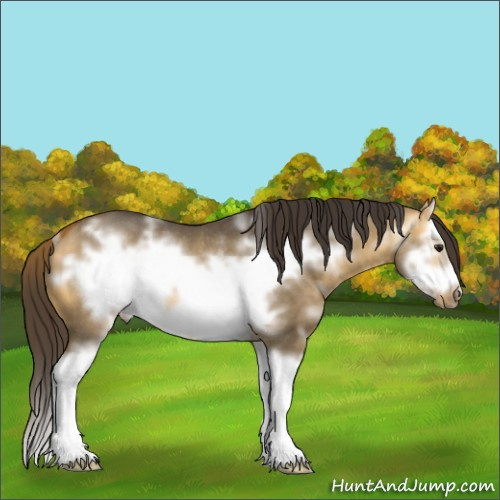 Horse Color:White Spotted Buckskin Dun Splash Frame Rabicano 