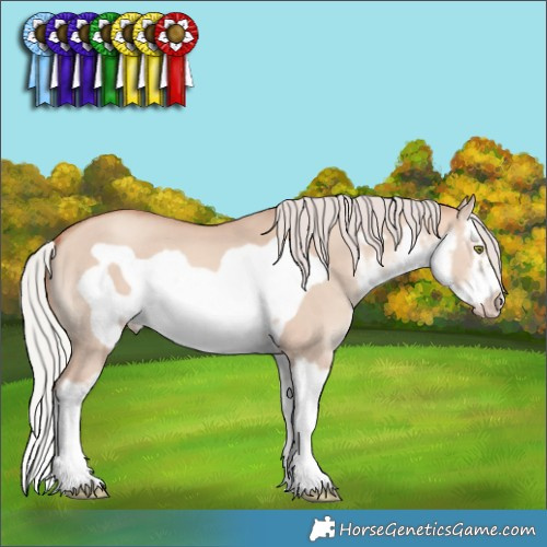 Horse Color:White Spotted Silver Amber Champagne Dun Splash Frame 