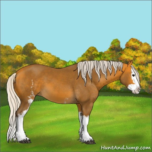 Horse Color:White Spotted Silver Buckskin Splash 