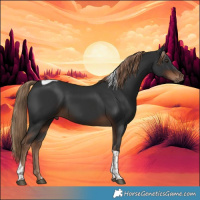 Horse Color:Liver Chestnut Tobiano 