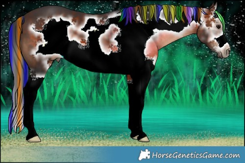 Horse Color:Painted Brown Splash Frame 