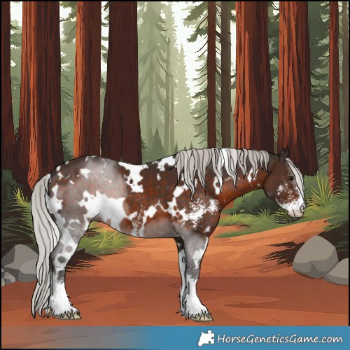 Horse Color:White Spotted Silver Brown Sabino 