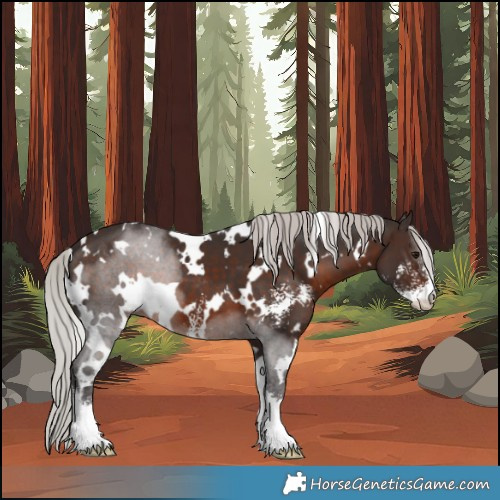 Horse Color:White Spotted Silver Brown Sabino 