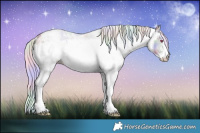 Horse Color:Nacre White Spotted Silver Grullo Chinchilla 