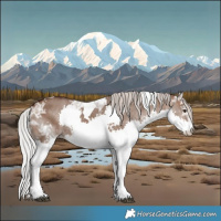 Horse Color:White Spotted Silver Brown Ice Dun Splash Tobiano