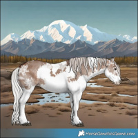 Horse Color:White Spotted Silver Brown Ice Dun Splash Tobiano 