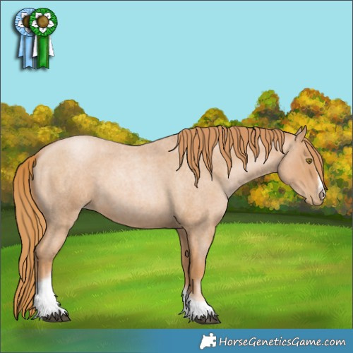 Horse Color:Red Roan Pearl Tobiano Frame 