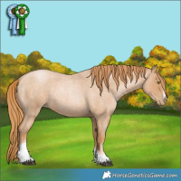 Horse Color:Red Roan Pearl Tobiano Frame 