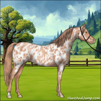 Horse Color:Gold Champagne Appaloosa  and Gold Champagne Appaloosa 