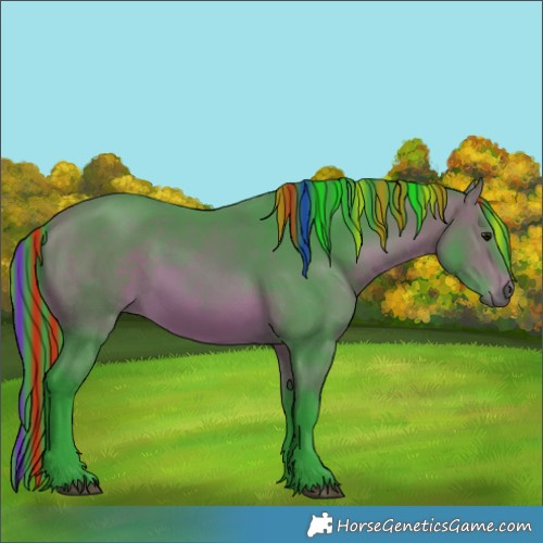 Horse Color:Painted Watercolor Bay 