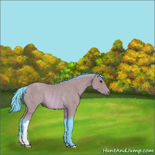 Horse Color:Watercolor Bay Rabicano 