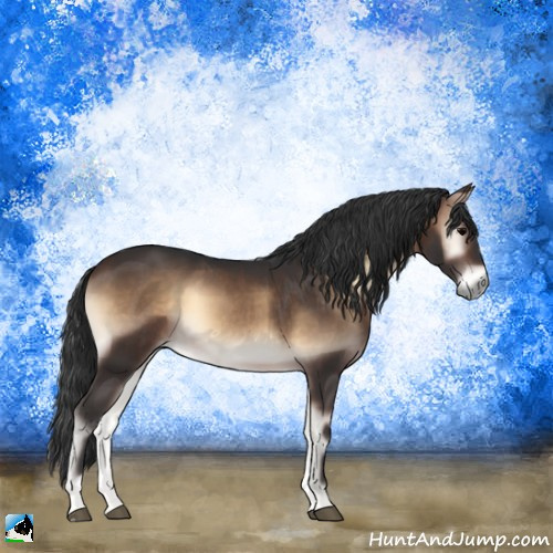 Horse Color:Brown Onyx 