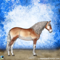 Horse Color:Silver Brown Onyx