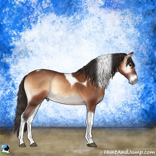 Horse Color:Bay Onyx Tobiano 