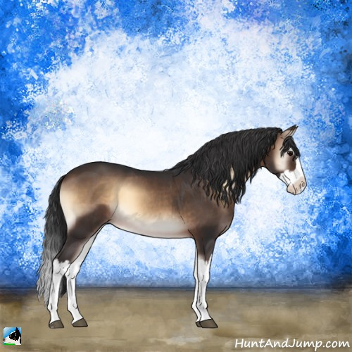 Horse Color:Brown Onyx Splash 