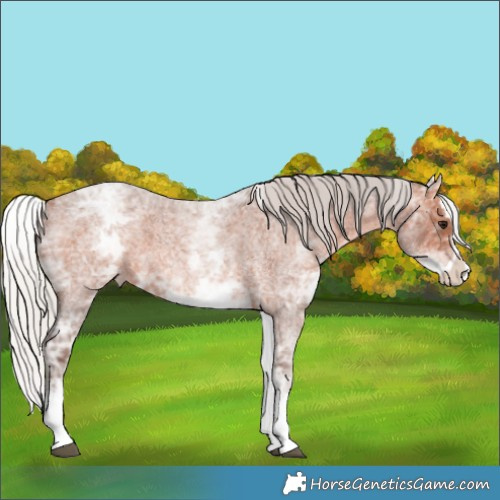 Horse Color:White Spotted Silver Brown Ice Roan Splash 