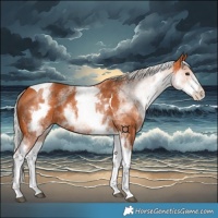 Horse Color:White Spotted Silver Bay Tobiano