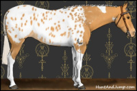 Horse Color:Silver Buckskin Tobiano Near Leopard
