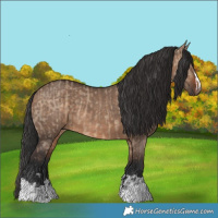 Horse Color:Brown Dun  and Brown Dun 