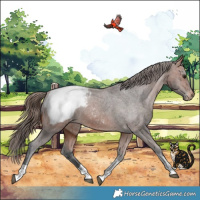 Horse Color:Bay Tobiano Snowcap 