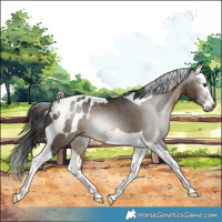 Horse Color:Gray Brown Dun Splash Tobiano Blanket Rabicano 