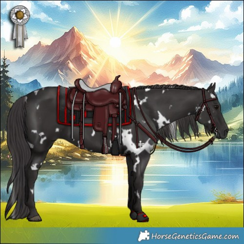 Horse Color:White Spotted Smoky Black 