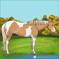 Horse Color:Chestnut Tobiano 