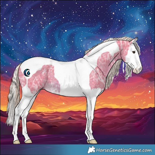 Horse Color:Watercolor Chocolate Palomino Ice Splash Tobiano 