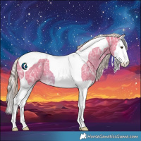 Horse Color:Watercolor Chocolate Palomino Ice Splash Tobiano 