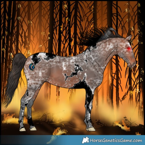 Horse Color:Bay Ice Tobiano 