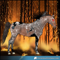 Horse Color:Bay Ice Tobiano