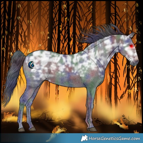 Horse Color:Nacre Black Ice Rabicano 