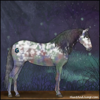 Horse Color:Nacre Black Ice Rabicano