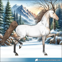 Horse Color:Bay Dun Near Fewspot 