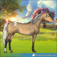 Horse Color:Silver Buckskin Dun Varnish Rabicano