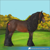 Horse Color:Brown 