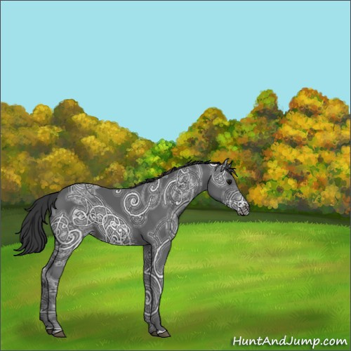 Horse Color:Black Ice 